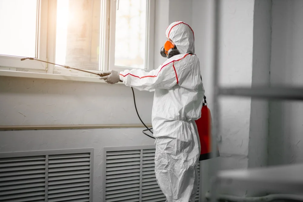 Professional mold remediation services in Iona, ID